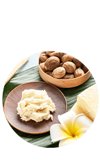 Ingrediente 1